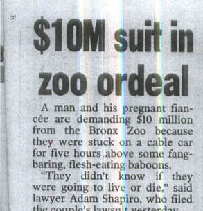 Pedestrian Knockdown Headline